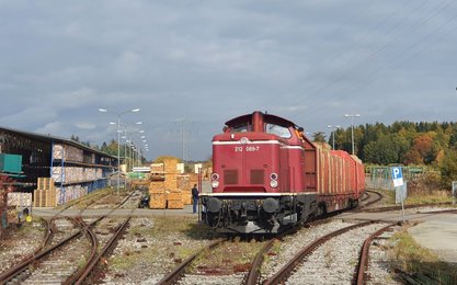 Güterzug im Containerterminal Pfuillendorf